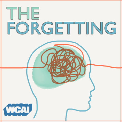 The Forgetting